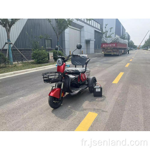 EST Price Electric Tricycle Transport Car